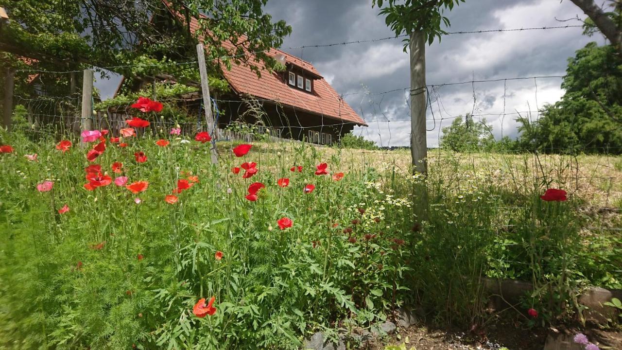 Gaestehaus Der Gamser Winzerstube Bad Gams Exteriér fotografie